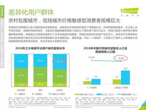 2019年中国社交电商行业研究报告 电商行业的新时代浪潮